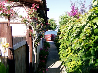 Nireis Outdoor View